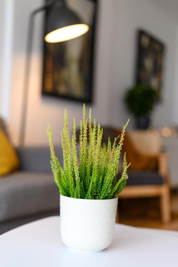 Apartament North Artistique - Aviatiei Bukareszt Zewnętrze zdjęcie